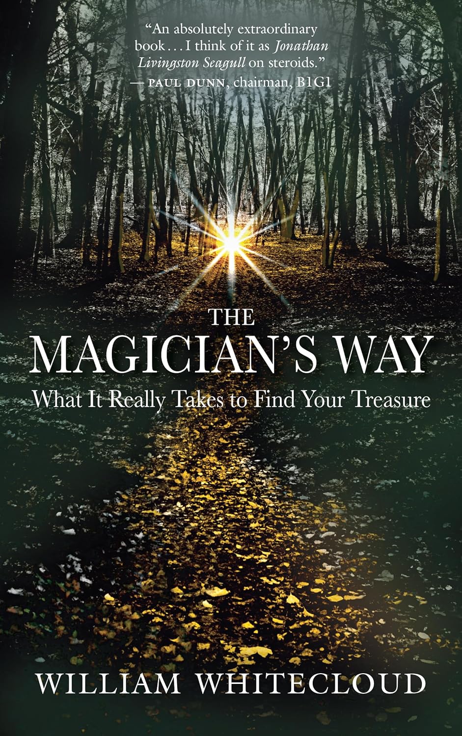 The Magician's Way: What It Really Takes to Find Your Treasure