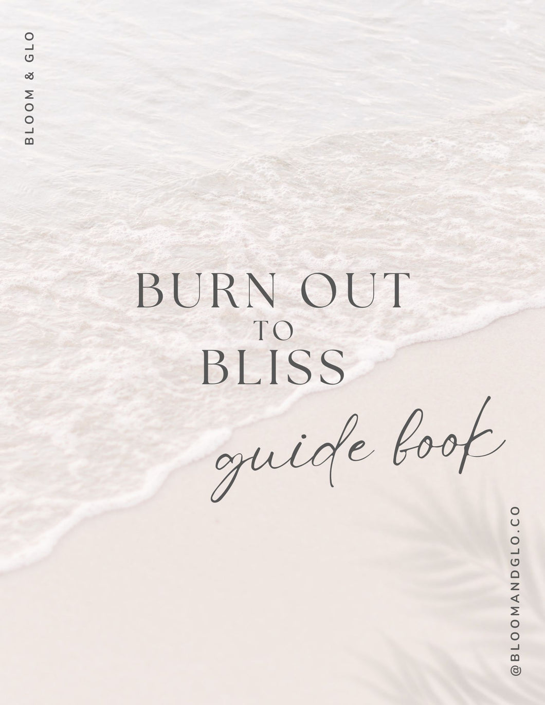 GUIDE: FREE: BURN OUT TO BLISS  - GUIDE BOOK
